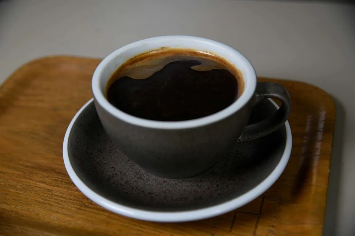 Café arábica vs robusta: diferencias, sabor y cómo elegir el mejor en casa