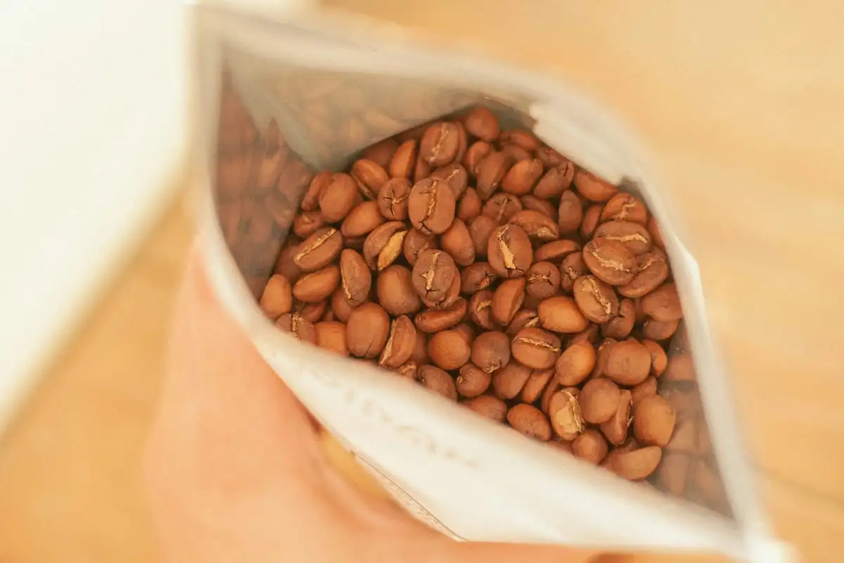 Café de especialidad para principiantes: qué comprar la primera vez
