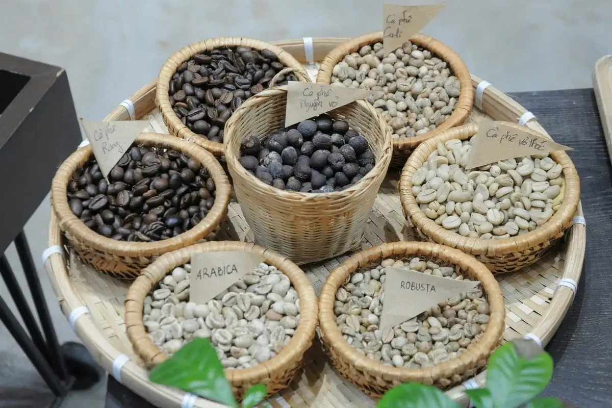 Variedades de café arábica más valoradas en café de especialidad (guía completa)