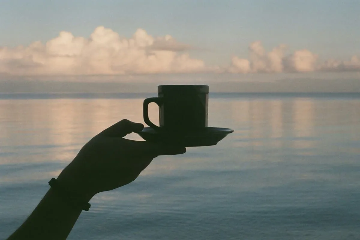 Método Kalita Wave: cómo preparar café de filtro equilibrado en casa
