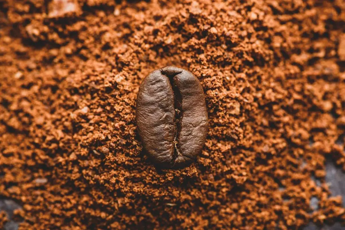 Cómo elegir el mejor molinillo para café de especialidad: guía práctica