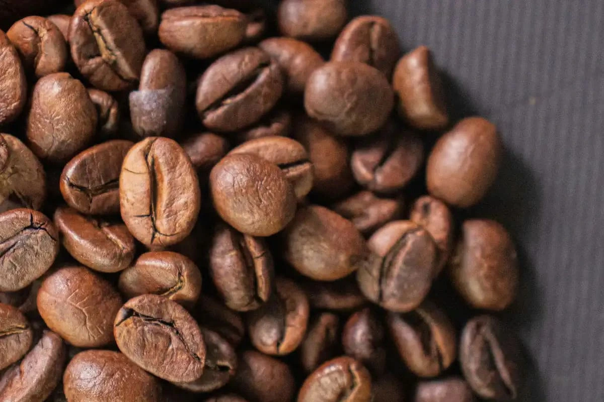 Procesos del café: lavado, natural y honey explicados paso a paso